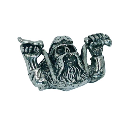 Motorcycle rider license plate bolts - decorative Motorcycle bolts - Harley rider plate bolts - Indian plate bolts - Fairing bolt covers