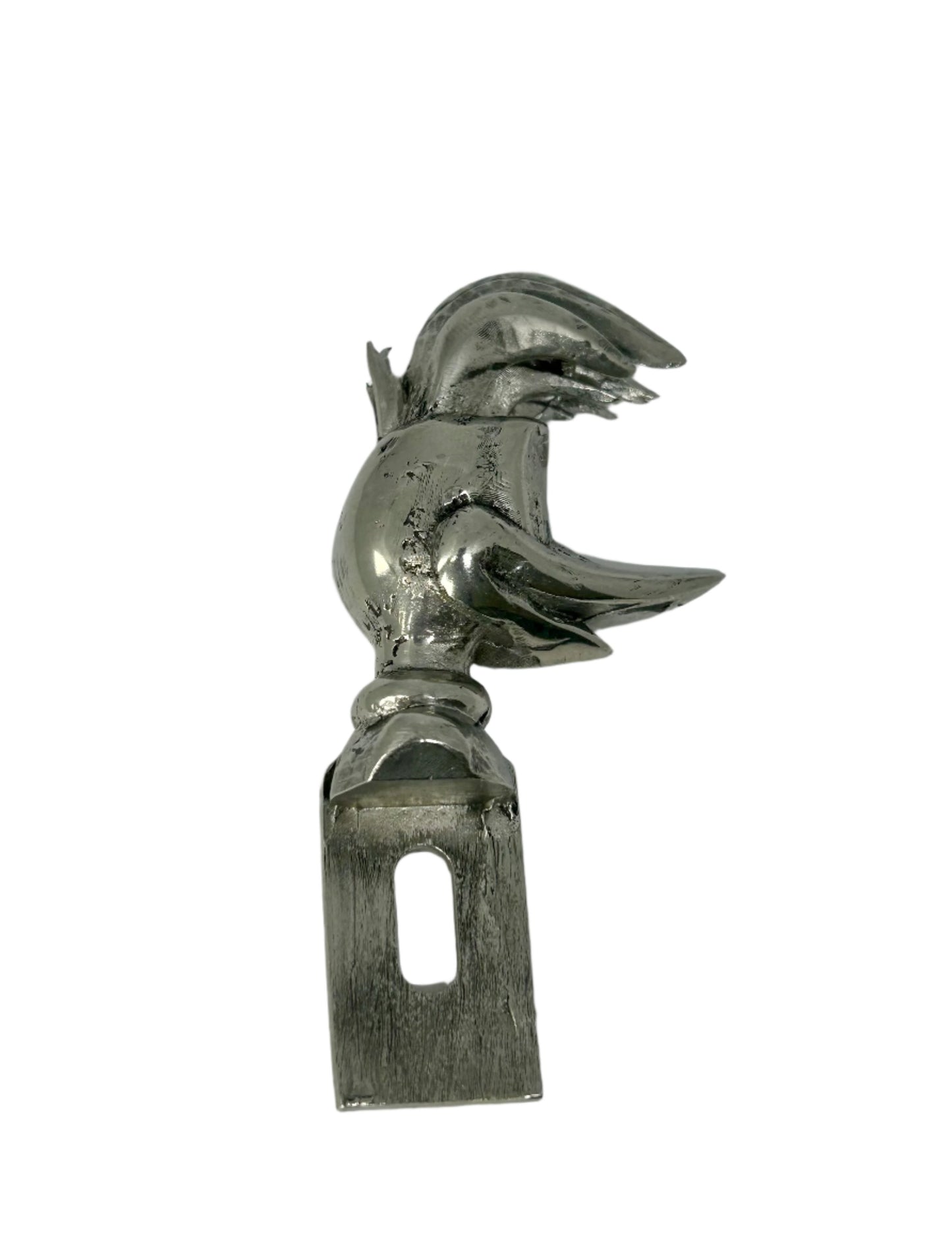 Wood Pecker License plate top