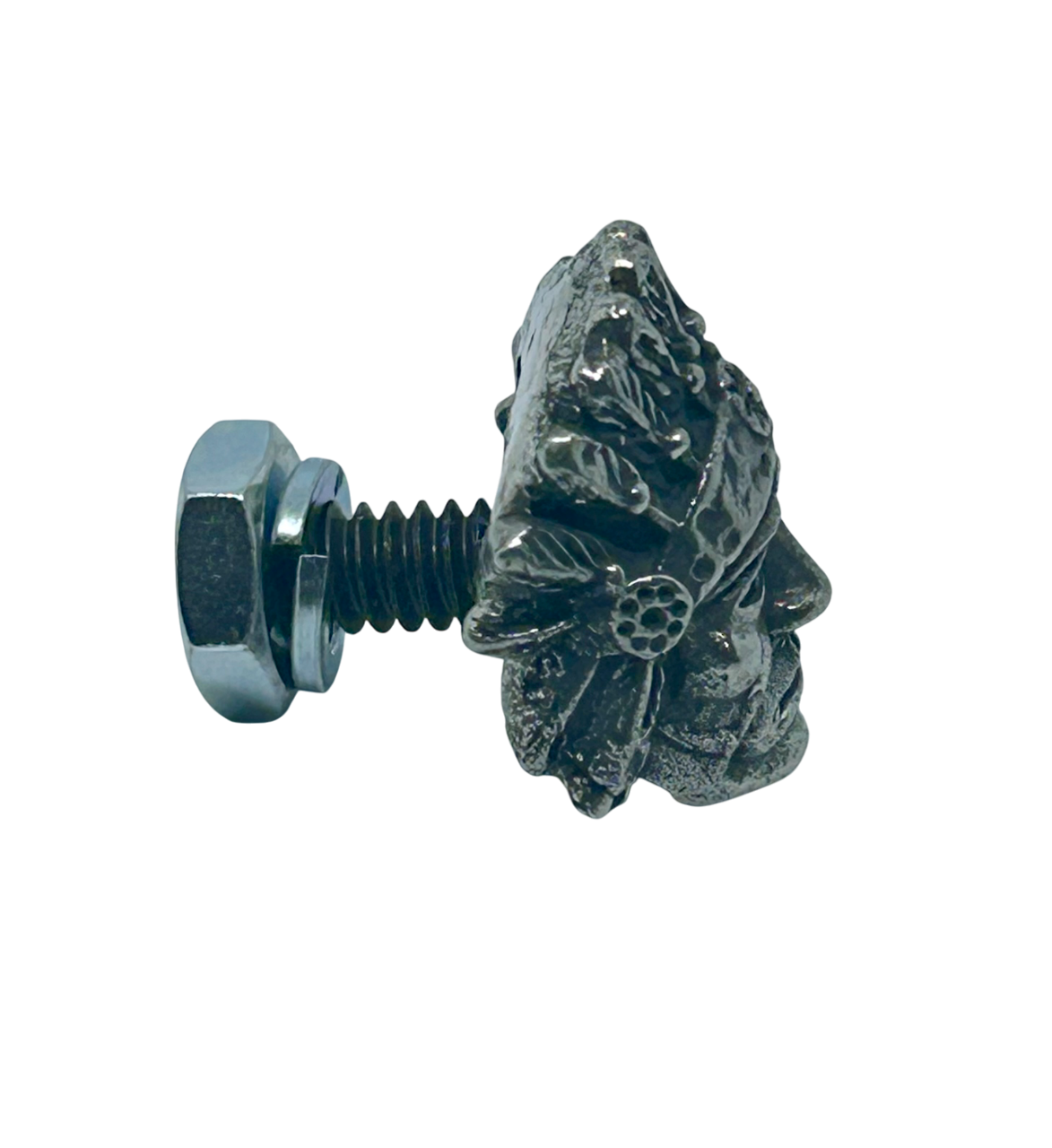 Indian Chief License Plate Bolt Cover