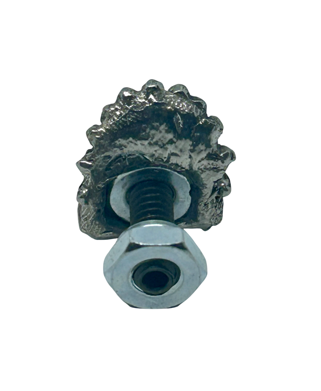 Indian Chief License Plate Bolt Cover